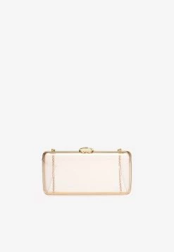 Gianvito Rossi Vetra Plexi Clutch Bag Nude